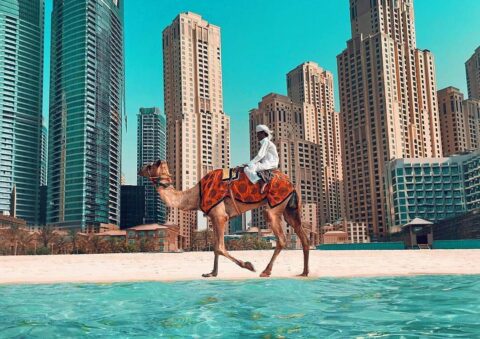 a32d8dd4b0287324beb4fe01c9e66db1